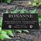 Personalized Cat or Dog Memorial - Granite Stone Pet Grave Marker - 6x12 - Roxanne product 1